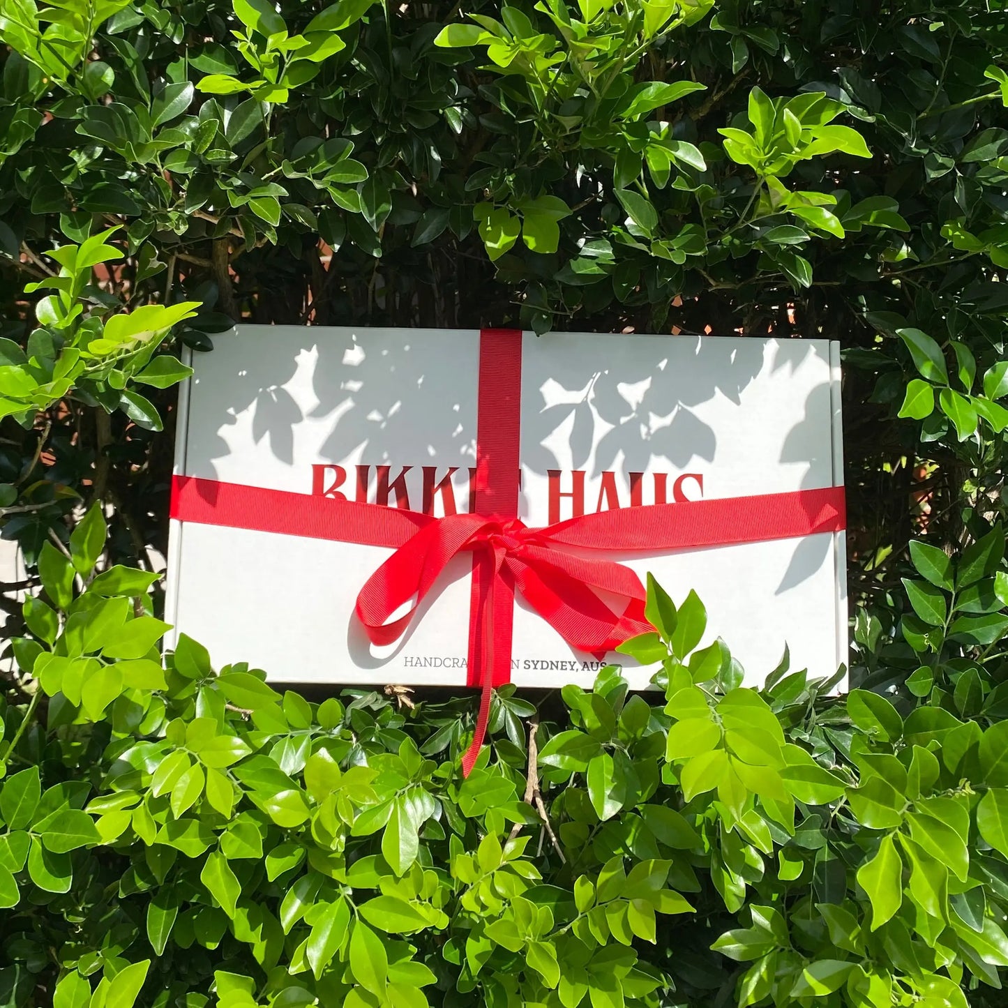 White Bikkie Haus Sydney cookie gift box with a red ribbon on green foliage