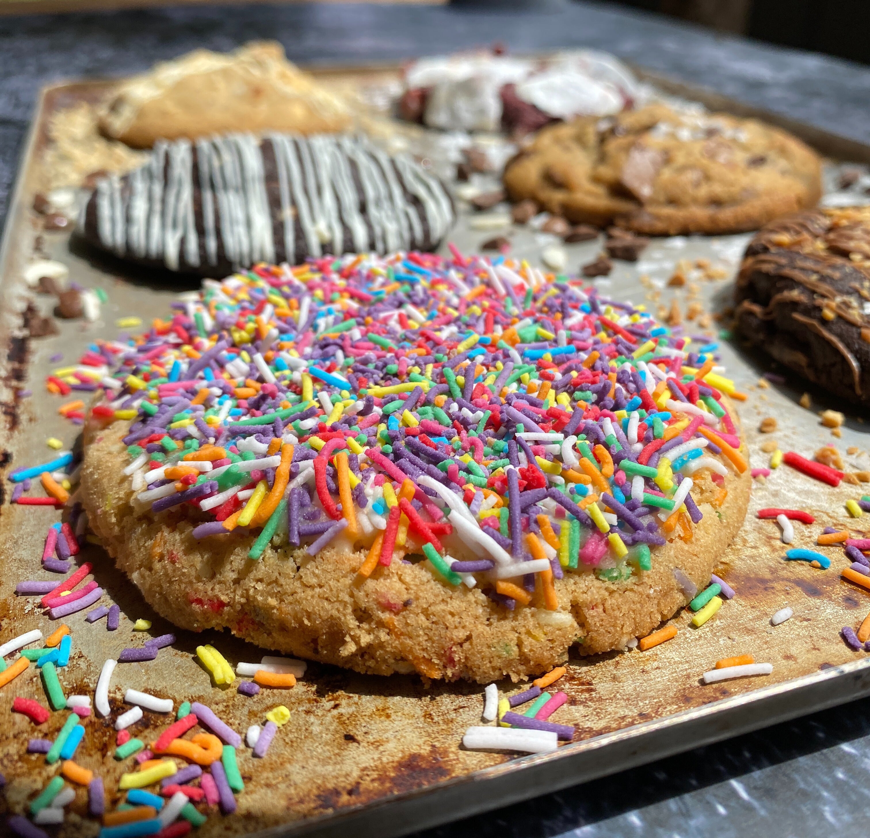 Cookie with colorful sprinkles on a baking tray with the rest of the Signature Haus Blend in the background.